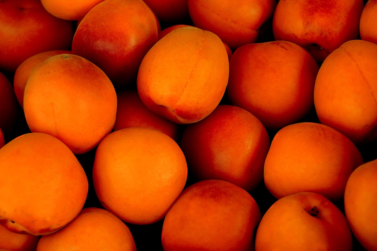 apricots, tropical fruits, fruits-1556851.jpg
