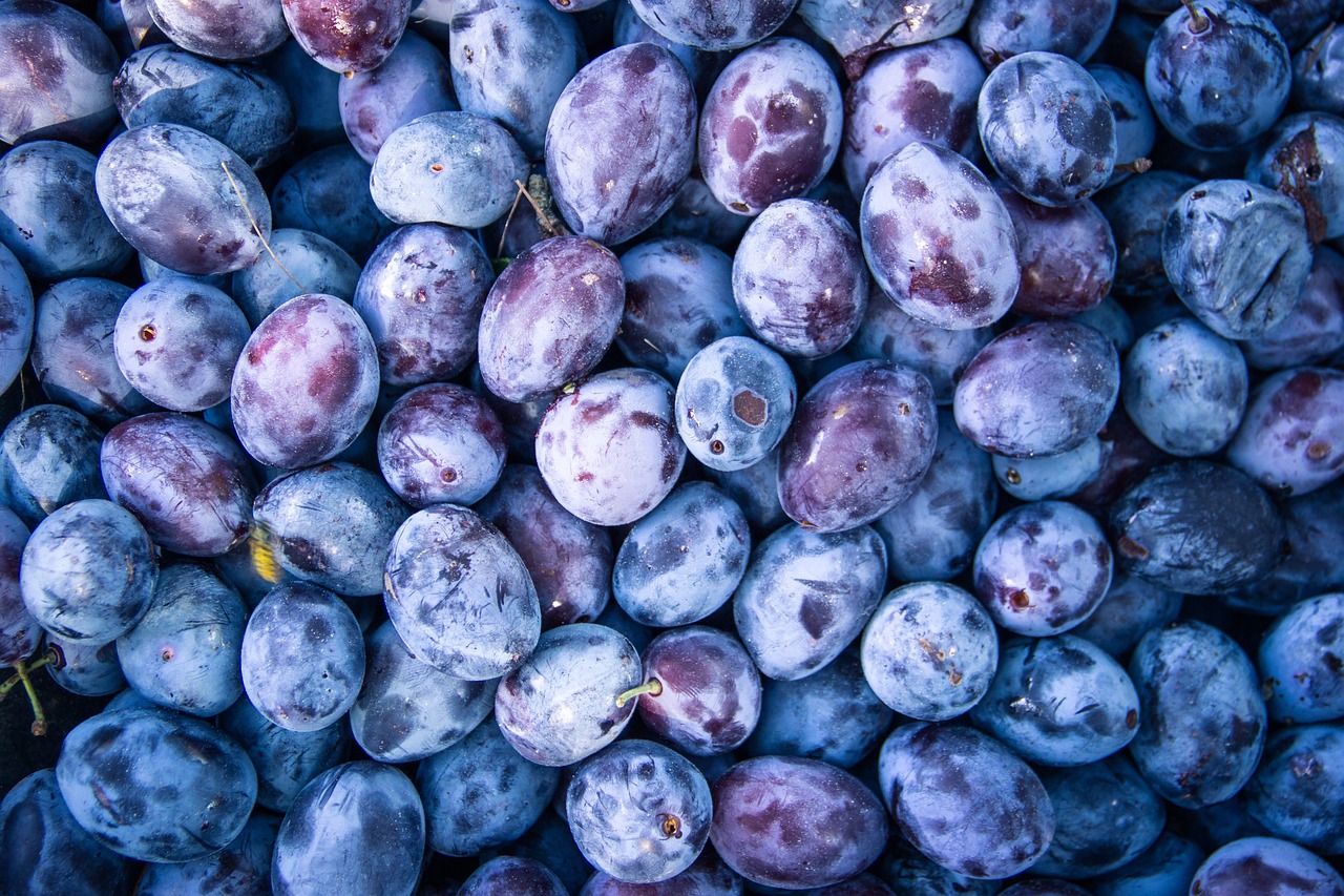 plum, fruit, food-2679782.jpg