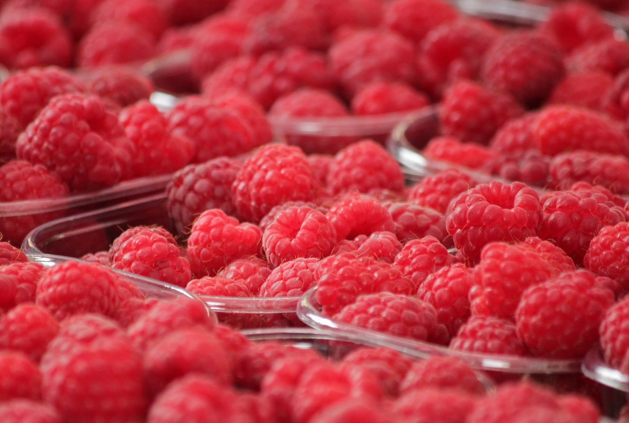 raspberries, red, berries-378259.jpg